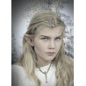 Piccole orecchie da elfo