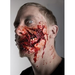 Zombie Cheek Torn