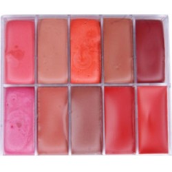 Paleta de lápices de labios 10 colores