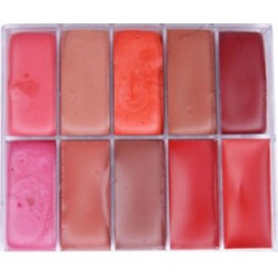 Palette lipsticks 10 colors