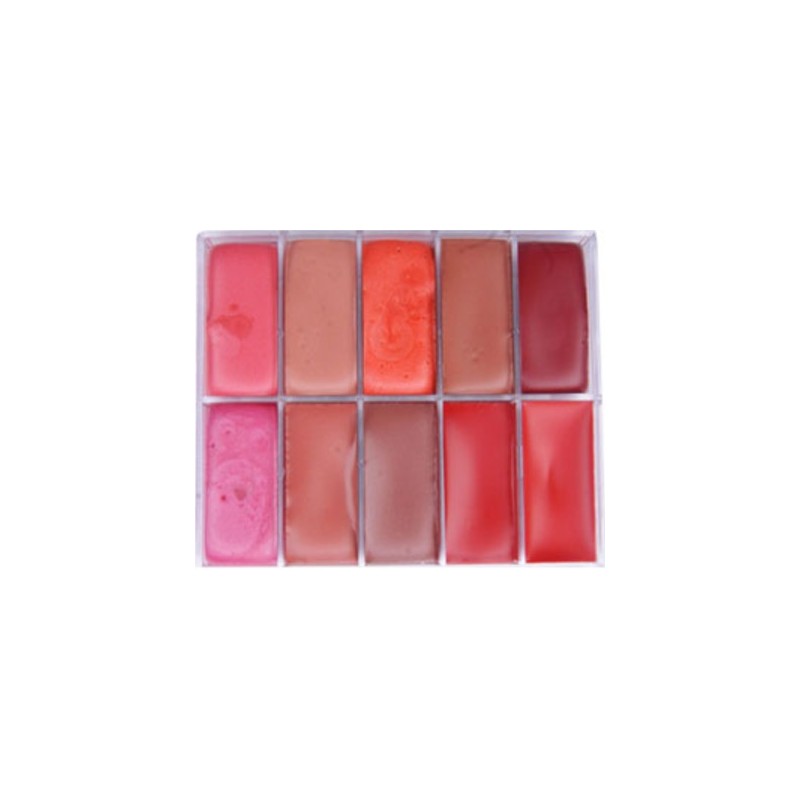 Paleta de lápices de labios 10 colores