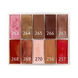 Palette lipsticks 10 colors