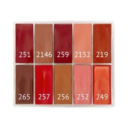 Paleta de lápices de labios 10 colores