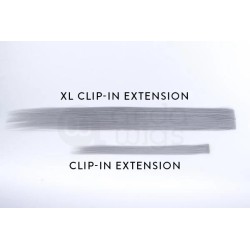 Clip extension