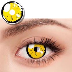 Lentille Marine jaune
