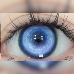 Koï bleue