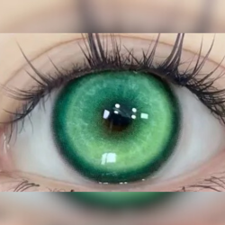 Koï  verde