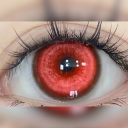 Koï rouge