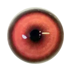 Koï rouge