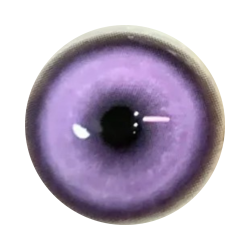 Koï porpora