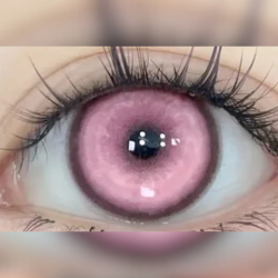 Koï rose