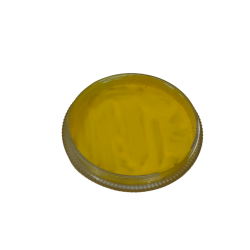 ColorFlex jaune