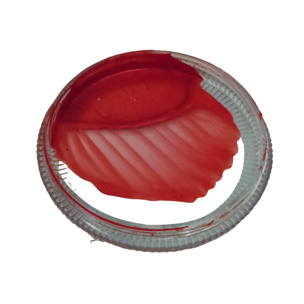 Flexipaint carne 1kg Flexipaint carne 1kg