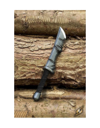 Armes de GN